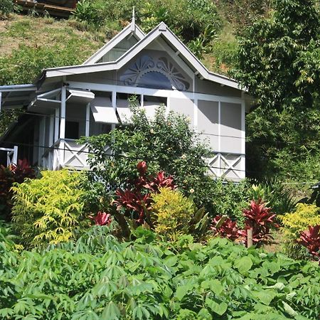 Gingerbread Cottage And Studio Fiji Savusavu Εξωτερικό φωτογραφία