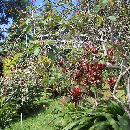 Gingerbread Cottage And Studio Fiji Savusavu Εξωτερικό φωτογραφία