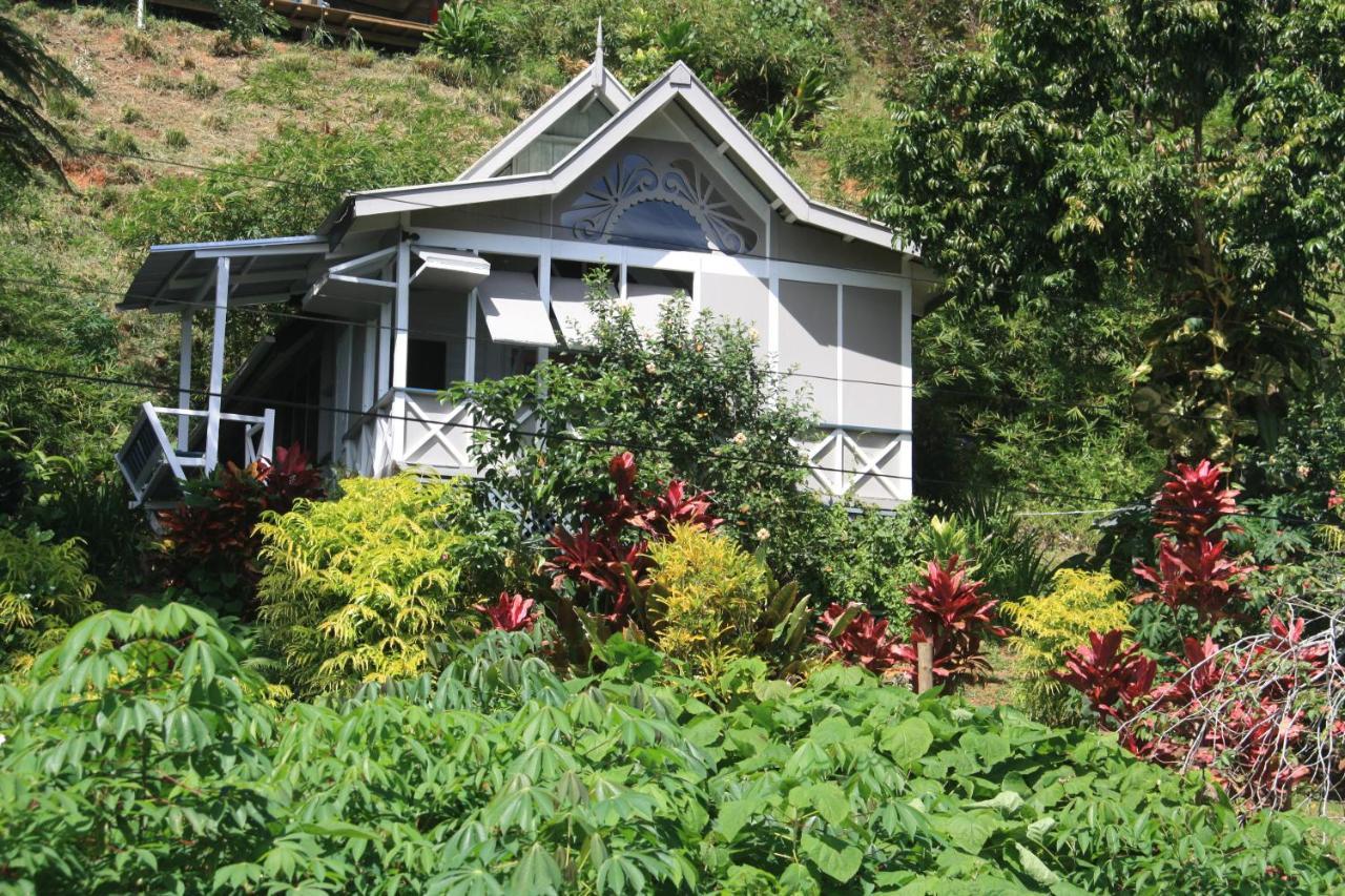 Gingerbread Cottage And Studio Fiji Savusavu Εξωτερικό φωτογραφία