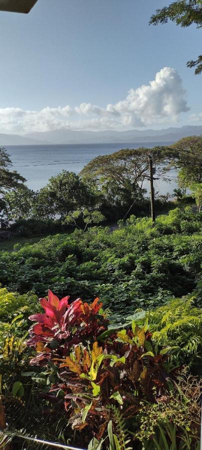 Gingerbread Cottage And Studio Fiji Savusavu Εξωτερικό φωτογραφία