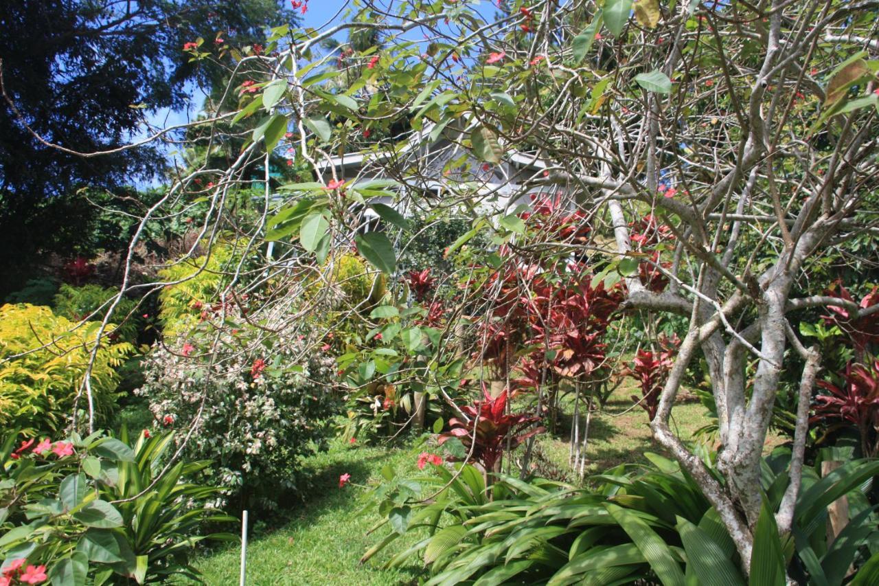 Gingerbread Cottage And Studio Fiji Savusavu Εξωτερικό φωτογραφία